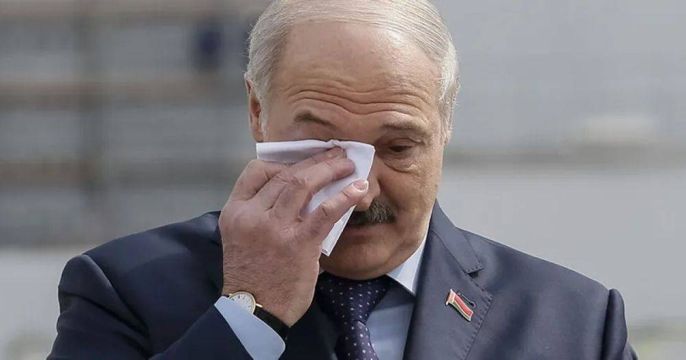 "Нет и быть не может, это просто безумство": Лукашенко высказался о контрнаступлении и попросил переговоров