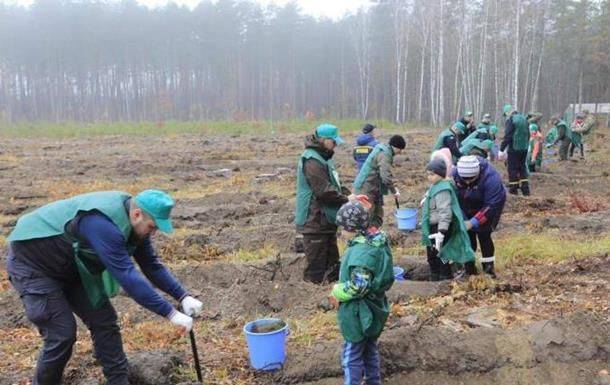 Большая разница: почему украинцы сажают деревья не так, как в ЕС