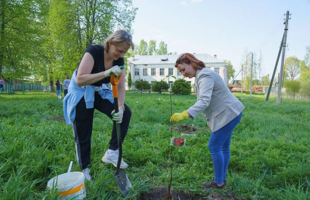 При поддержке атомщиков в Удомельском округе восстановили яблоневый сад с вековой историей