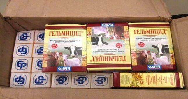 У пассажирки рейса “Худжанд-Красноярск” обнаружили незаконные ветеринарные препараты