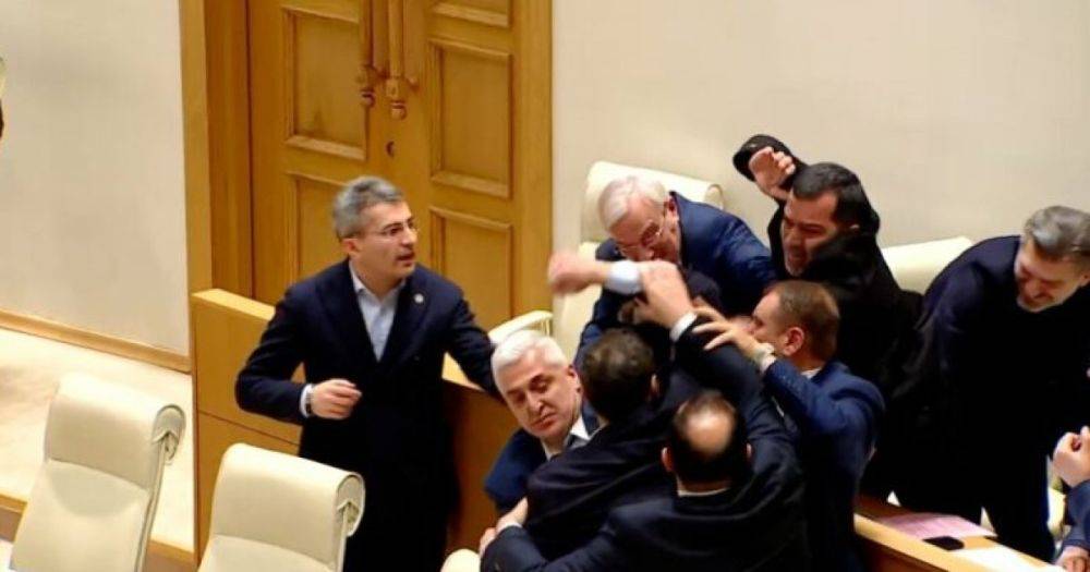 В Грузии депутаты подрались из-за возобновления авиасообщения с РФ (видео)