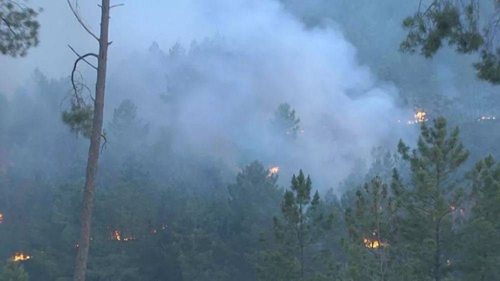 Лесной пожар в Испании: эвакуировано более 700 человек