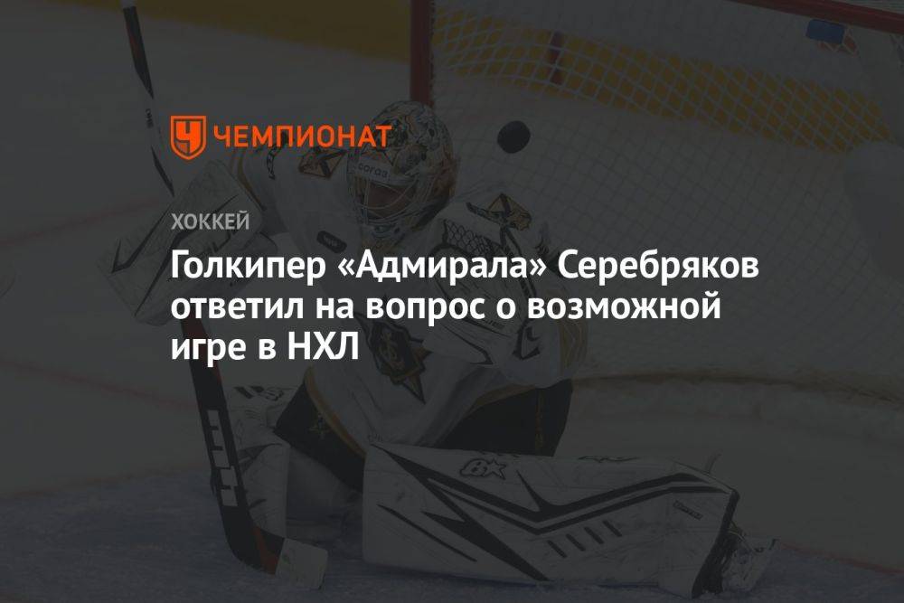 Голкипер «Адмирала» Серебряков ответил на вопрос о возможной игре в НХЛ