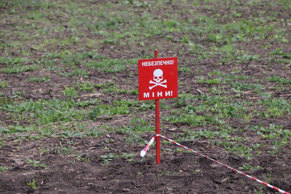 Более 70 мин «лепесток» нашли саперы на одном поле Харьковщины (видео)