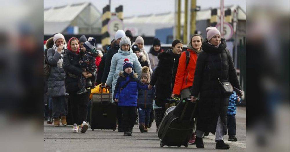 Украинцев в Польше массово лишают статуса беженцев и льгот: почему так происходит