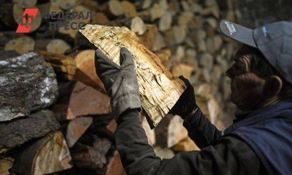 Как жителям Псковской области получить дрова от государства «почти бесплатно»