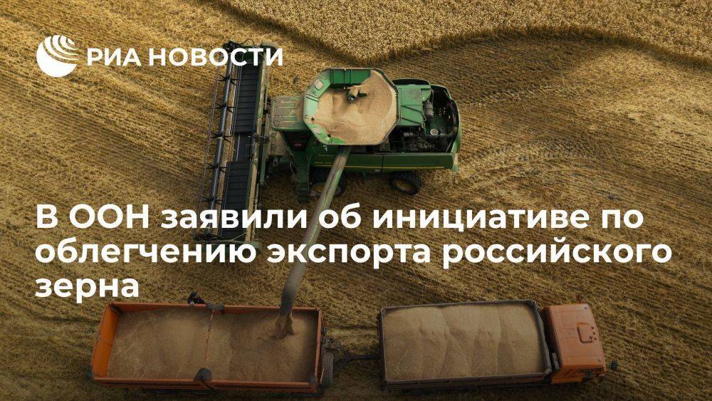 Глава ЮНКТАД Гринспан: ООН и Афрэксимбанк пытаются облегчить экспорт зерна из России