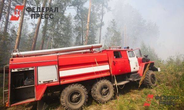 Свердловские лесопользователи, не принимавшие участия в тушении пожаров, могут потерять свои участки
