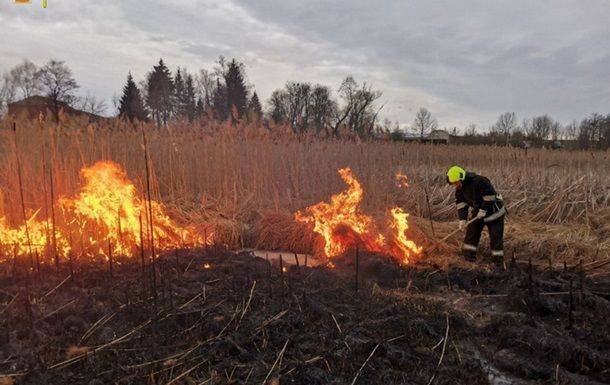 В Винницкой области огонь уничтожил пасеку