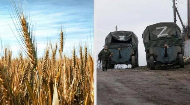 Россияне украли из Украины около 4 миллионов тонн зерна — ассоциация