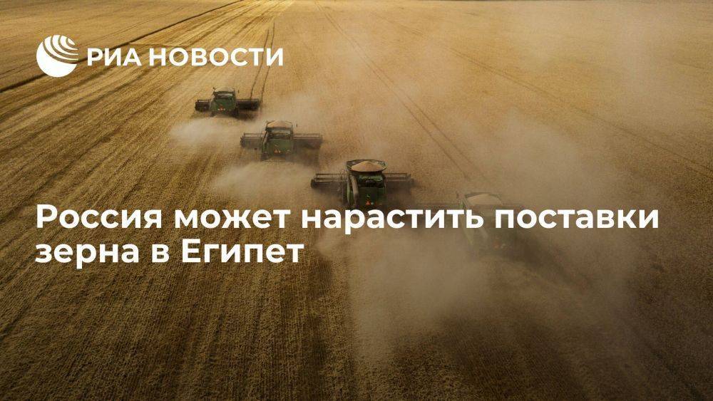 Эксперт Орлов: Россия может нарастить поставки зерна в Египет и другие страны