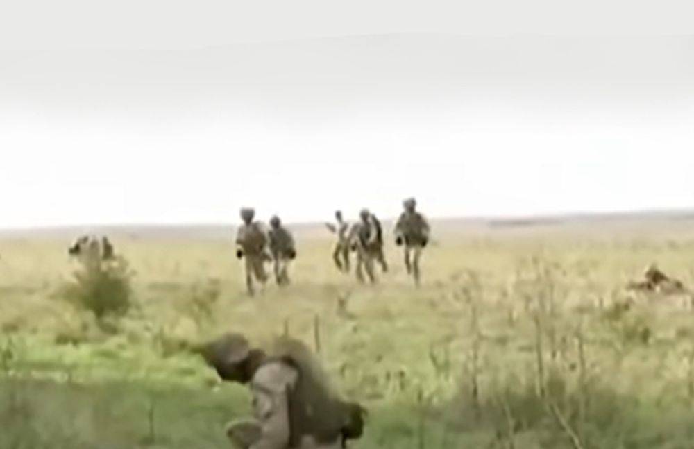 Российские повстанцы показали эффективность: раскрыты три цели рейда в Белгородской области рф