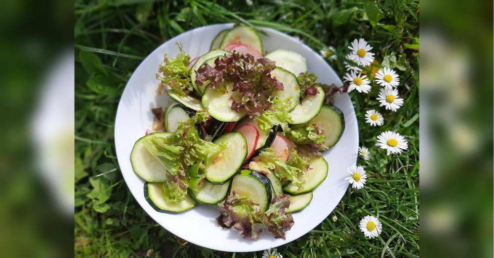 Салат с редиской и кабачками: вкусно, просто и полезно