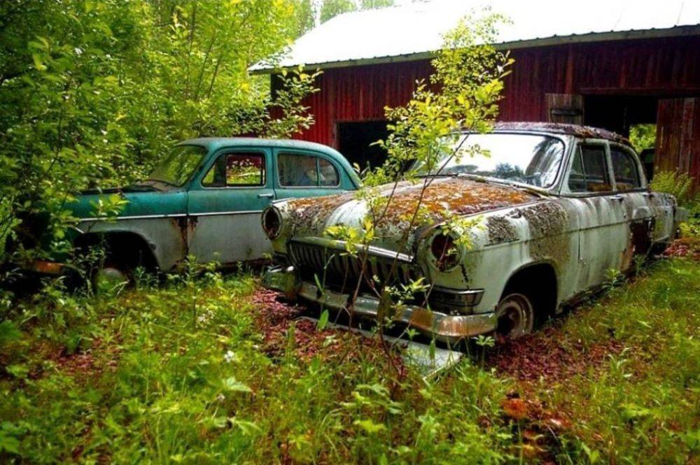 Есть "Жигули" и "Нива": в лесу обнаружили целое кладбище советских автомобилей