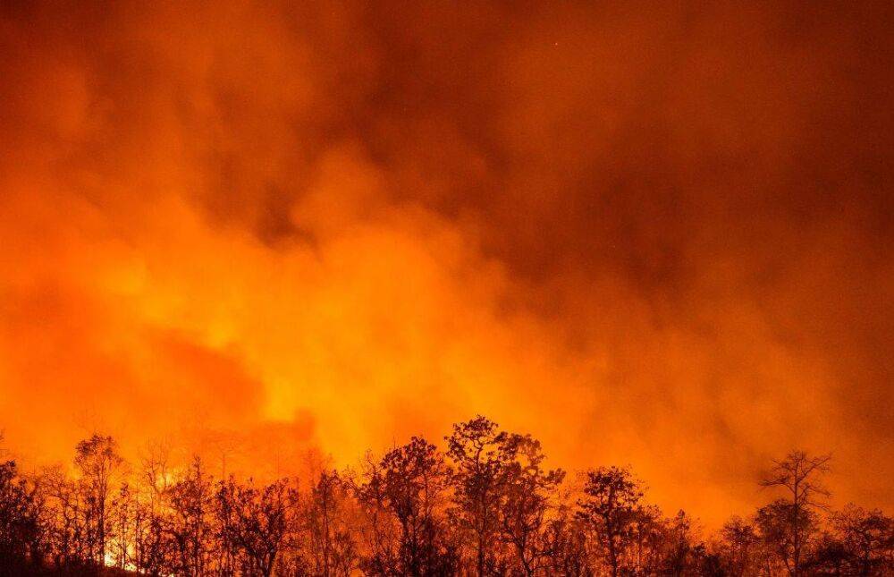 В России появятся добровольные пожарные формирования для тушения ландшафтных пожаров