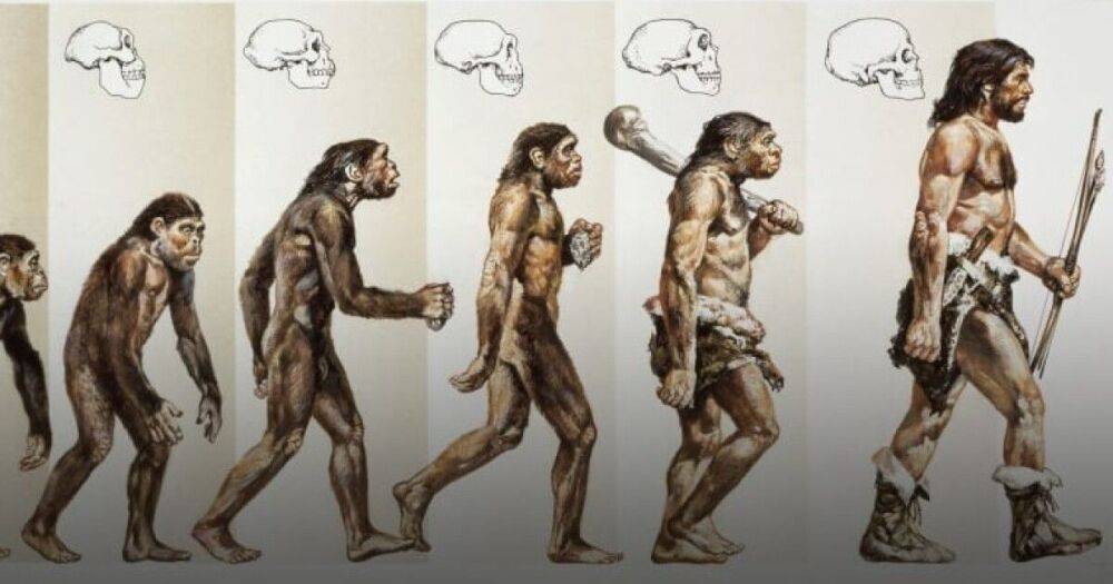 Эволюции в Индии больше нет: из школьных учебников частично выбросили теорию Дарвина