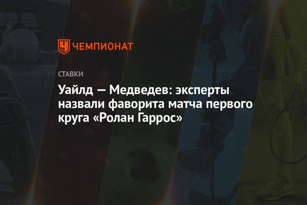 Уайлд — Медведев: эксперты назвали фаворита матча первого круга «Ролан Гаррос»