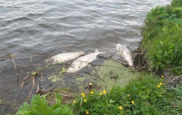 Установлена причина мора рыбы в Южном Буге в Хмельницкой области
