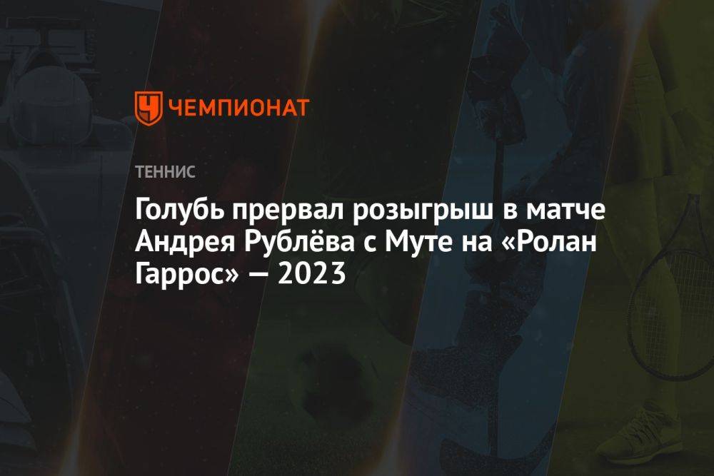 Голубь прервал розыгрыш в матче Андрея Рублёва с Муте на «Ролан Гаррос» — 2023