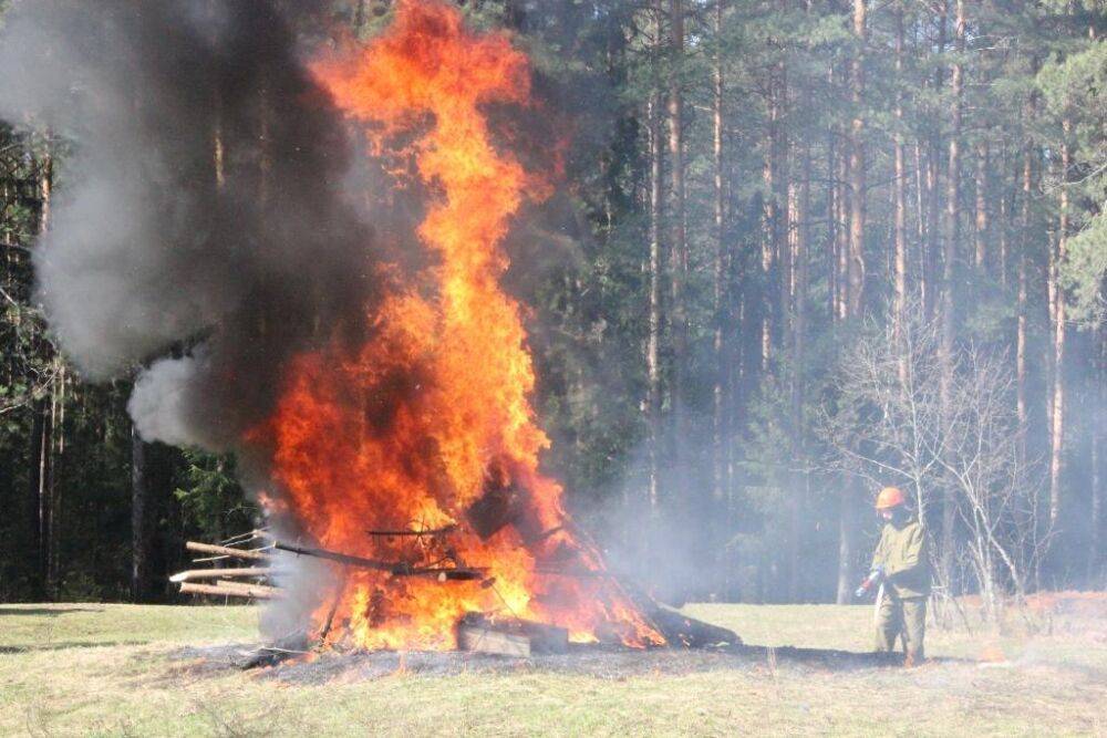 Заморозки и пожары: МЧС предупреждает о высокой пожарной опасности в Тверской области