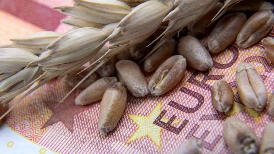 ООН призвала к конструктивным дискуссиям по продлению зерновой сделки