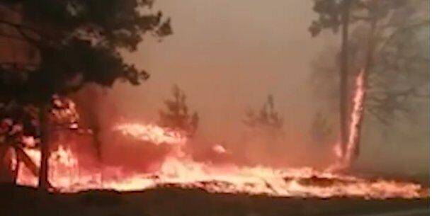 Начали эвакуацию. В Свердловской области РФ горят склады с порохом из-за лесного пожара — видео