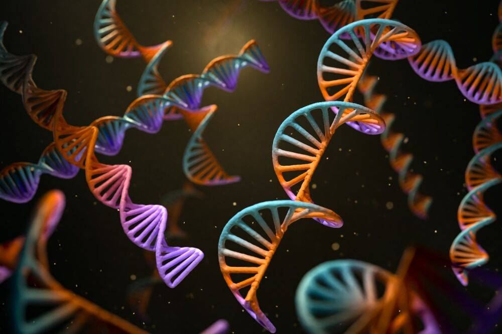Ученым Тель-авивского университета удалось остановить образование метастаз с помощью RNA-технологии