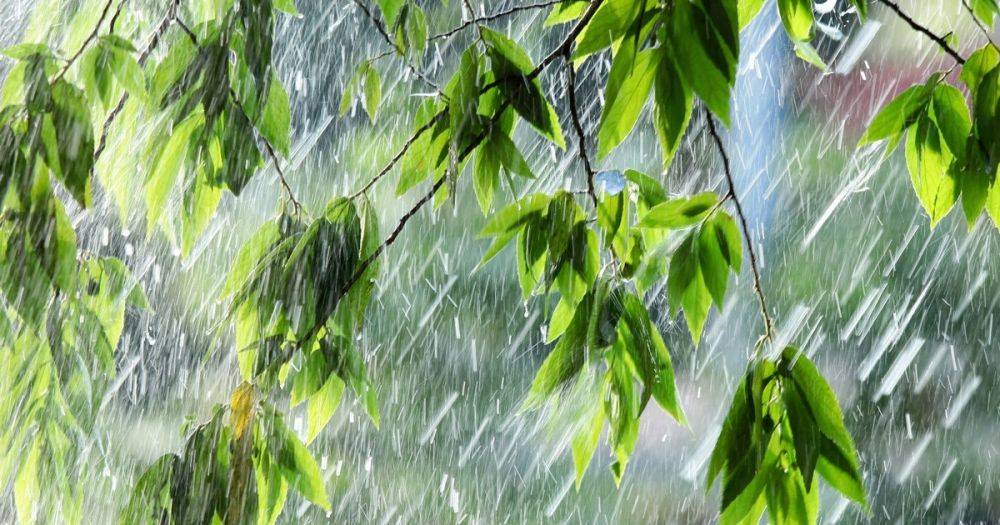 Погода в Украине на 1 июня: местами дождь и гроза (КАРТА)