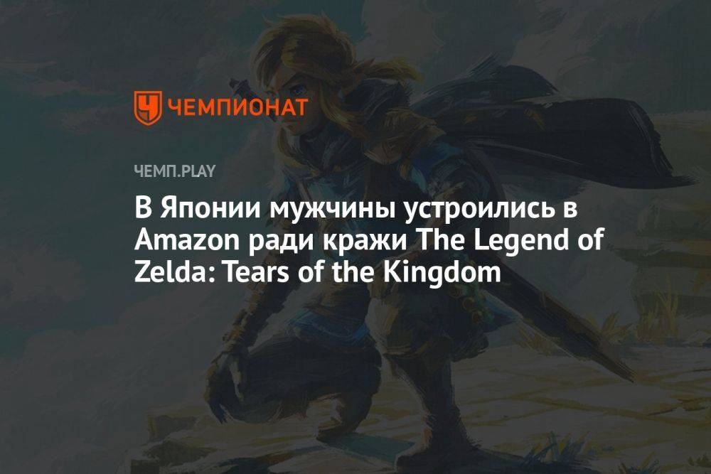 В Японии мужчины устроились в Amazon ради кражи The Legend of Zelda: Tears of the Kingdom