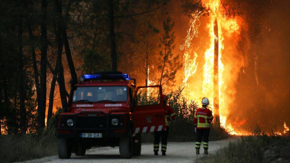 Евросоюз готовится к жаркому лету и борьбе с лесными пожарами