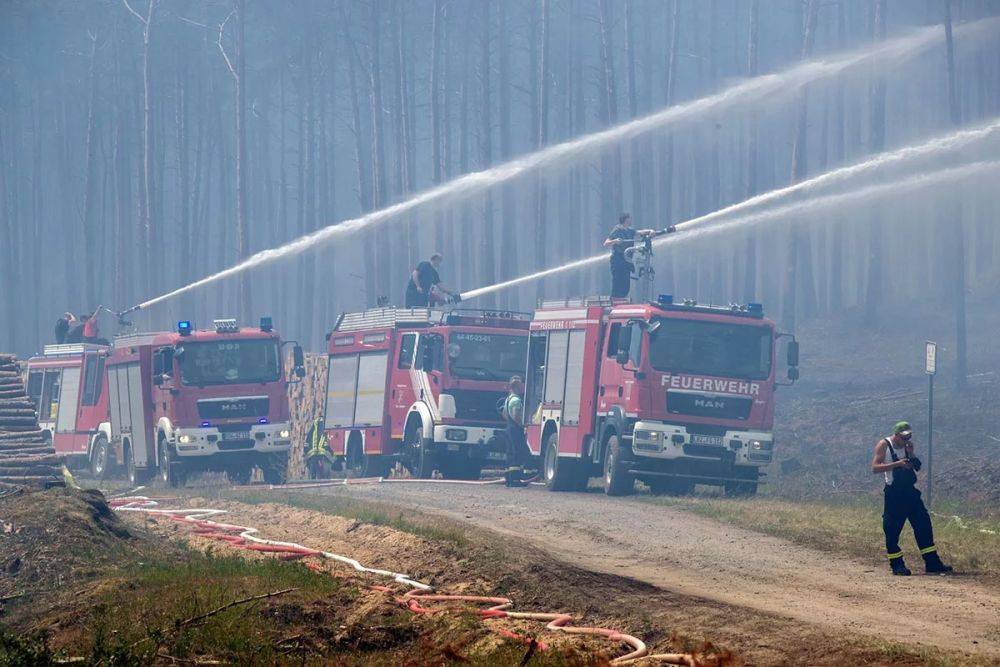 Лесные пожары в Германии: каков уровень риска сейчас