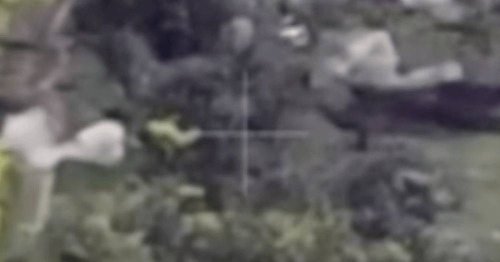 Разведали дроном и засыпали гранатами: пограничники уничтожили позиции ВС РФ (видео)