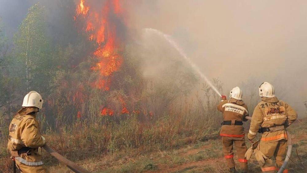 Мирзиёев выразил соболезнования в связи с жертвами и значительным уроном в результате масштабных лесных пожаров в Казахстане