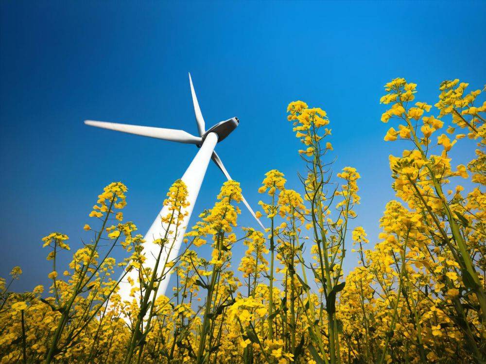 Украинская ветроэнергетическая ассоциация предлагает не устанавливать price-cap на рынке электроэнергии