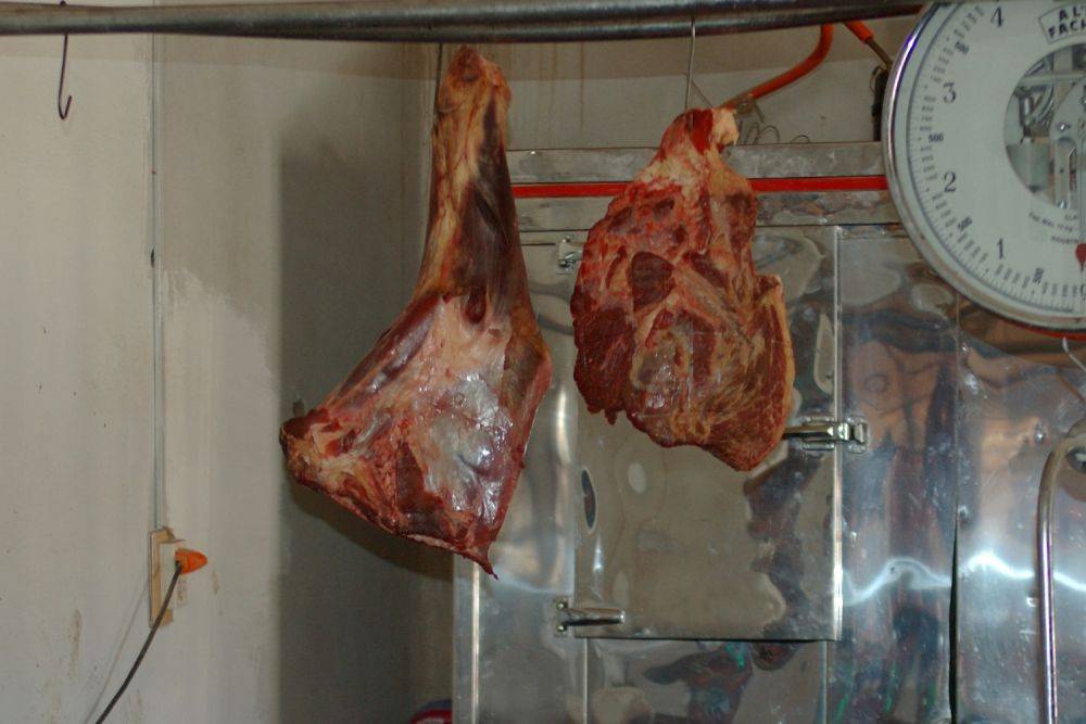 В ресторане «высокого кашрута» обнаружена крупная партия тухлого мяса с территорий