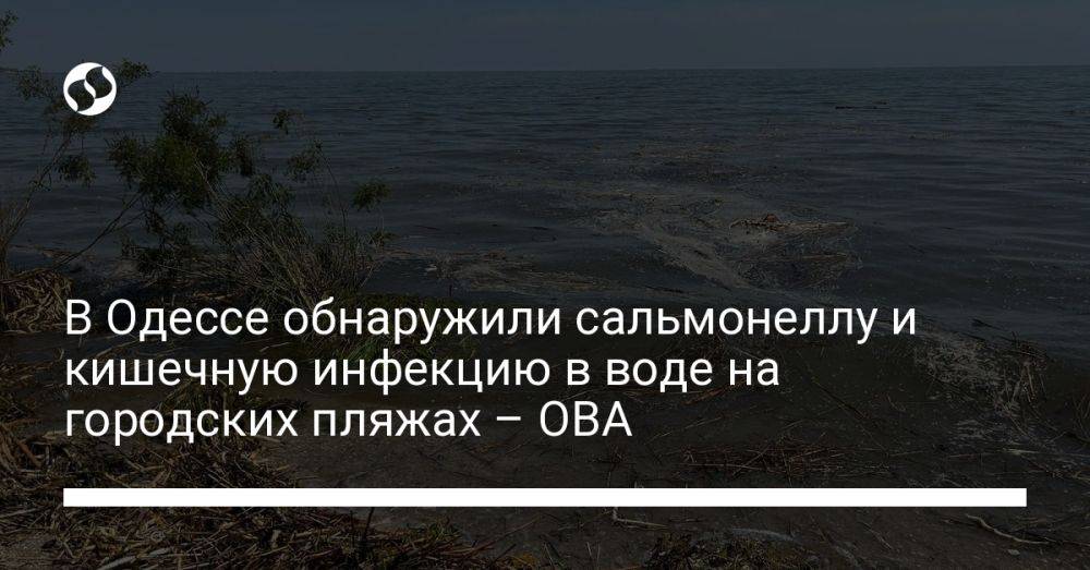 В Одессе на городских пляжах обнаружили сальмонеллу и кишечную инфекцию в воде – ОВА