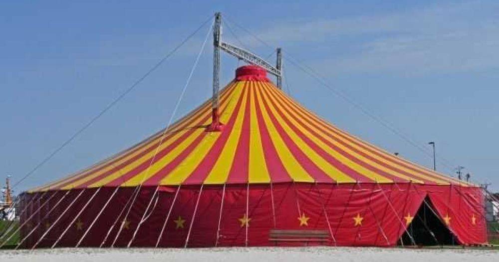 Шапито с бобрами: пропагандисты показали цирк в Мариуполе