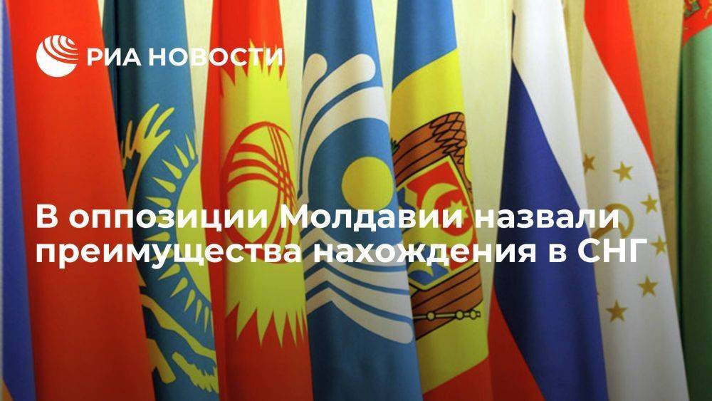 Вице-спикер парламента от оппозиции Батрынча назвал преимущества нахождения Молдавии в СНГ