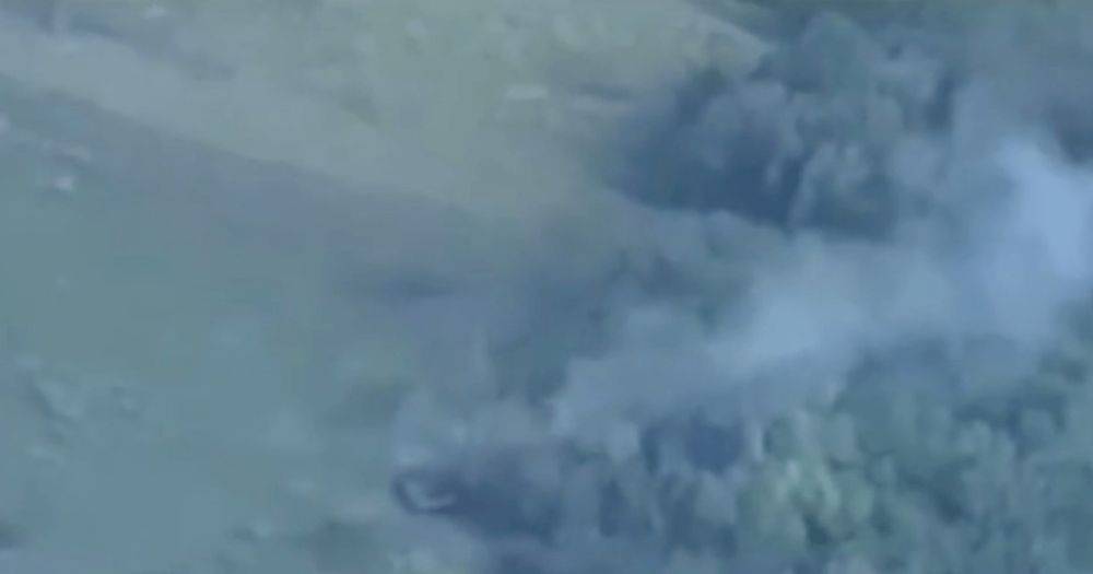 Силы обороны Украины уничтожили российский "Леопард" (видео)