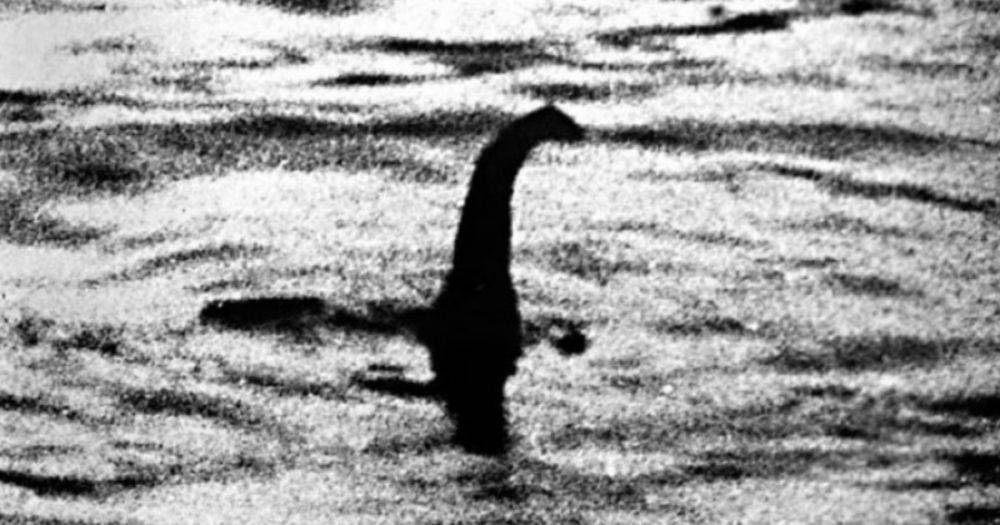 Выглядела зловеще: турист увидел "огромную темную фигуру" в озере Лох-Несс (фото)