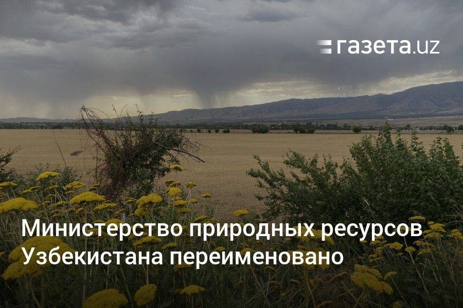 Министерство природных ресурсов Узбекистана переименовано