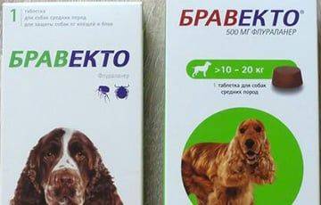 Из зоомагазинов и ветклиник в Минске пропали таблетки против клещей