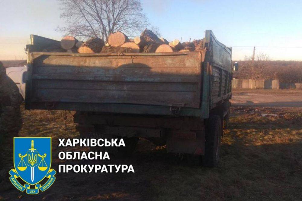 Нарубили деревьев на 1,1 млн грн: на Харьковщине поймали «черных лесорубов»