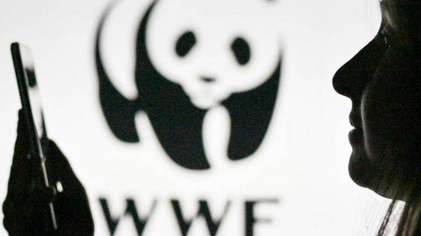 WWF вслед за Greenpeace объявили нежелательной в России организацией
