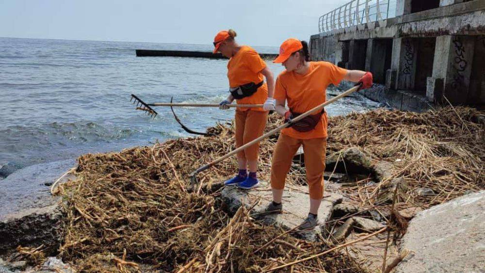 Коммунальщики Одессы убирают мусор на побережье | Новости Одессы