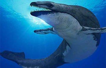 Ученые открыли новый вид доисторических зубатых китов