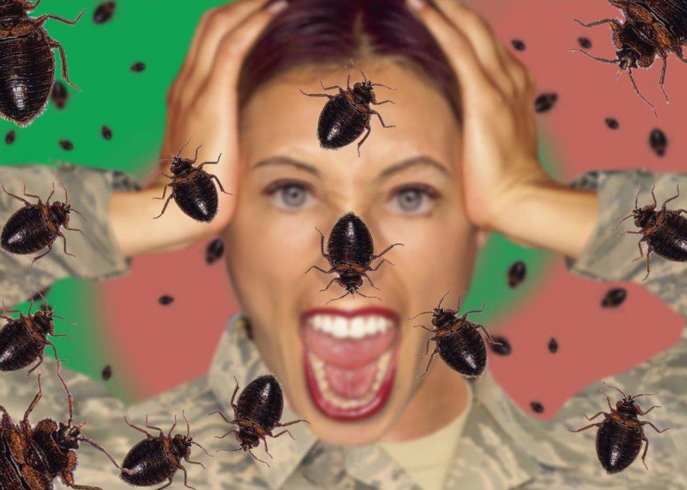 Ирина Яровая выдала фейк про биолаборатории США, холеру в Украине и насекомых-союзников