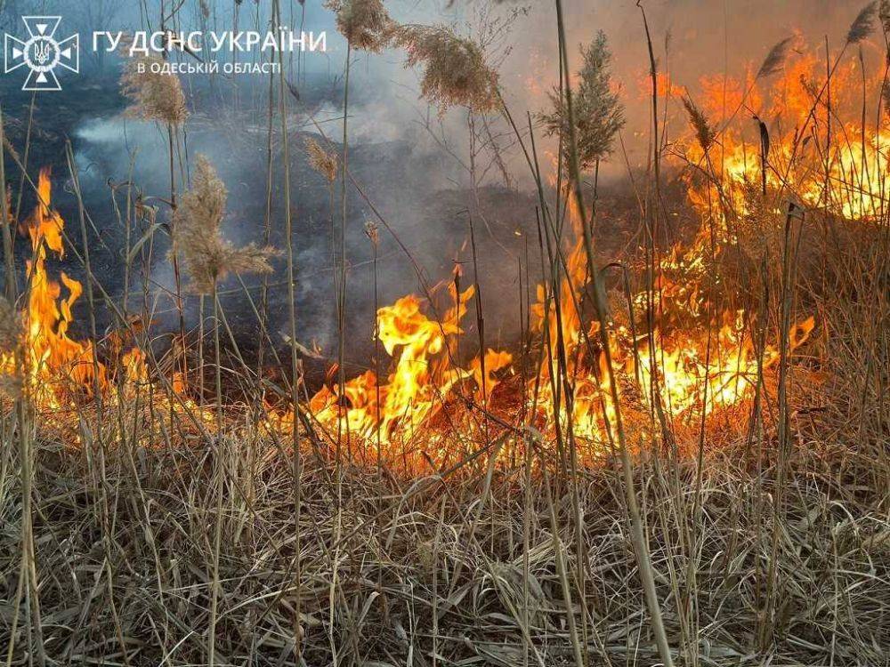 В Одессе и области 5-6 июня будет пожароопасно | Новости Одессы