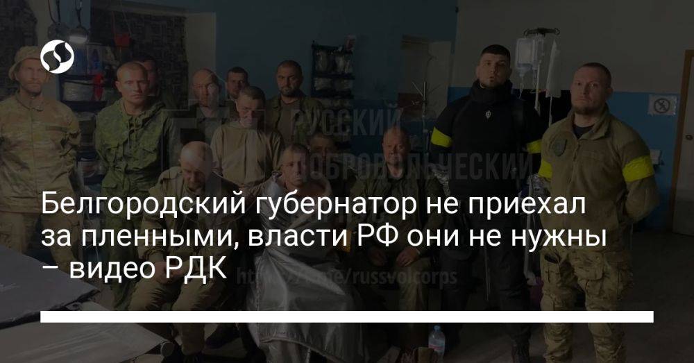 Белгородский губернатор не приехал за пленными, власти РФ они не нужны – видео РДК