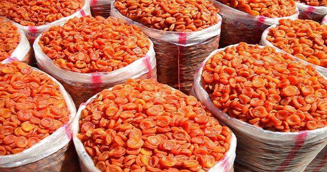 В Таджикистане пройдёт праздник абрикосов и выставка сухофруктов — Тиргон